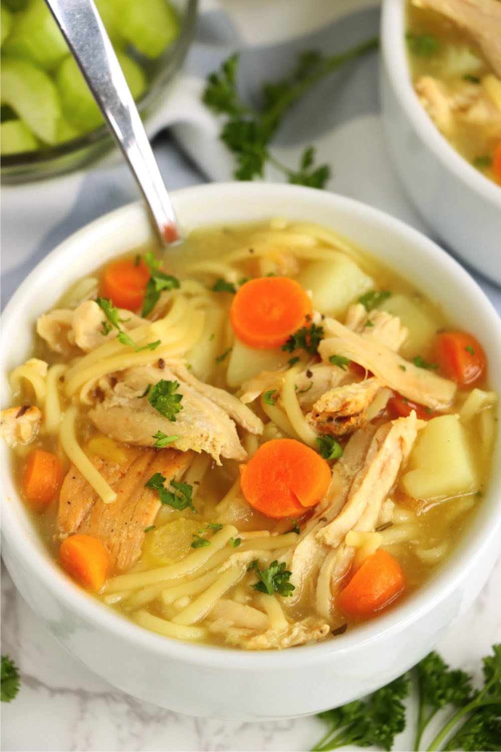 spoon in a bowl of turkey noodle soup filled with vegetables