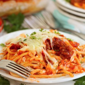 Spaghetti and meat sauce covered in cheese on a white plate.