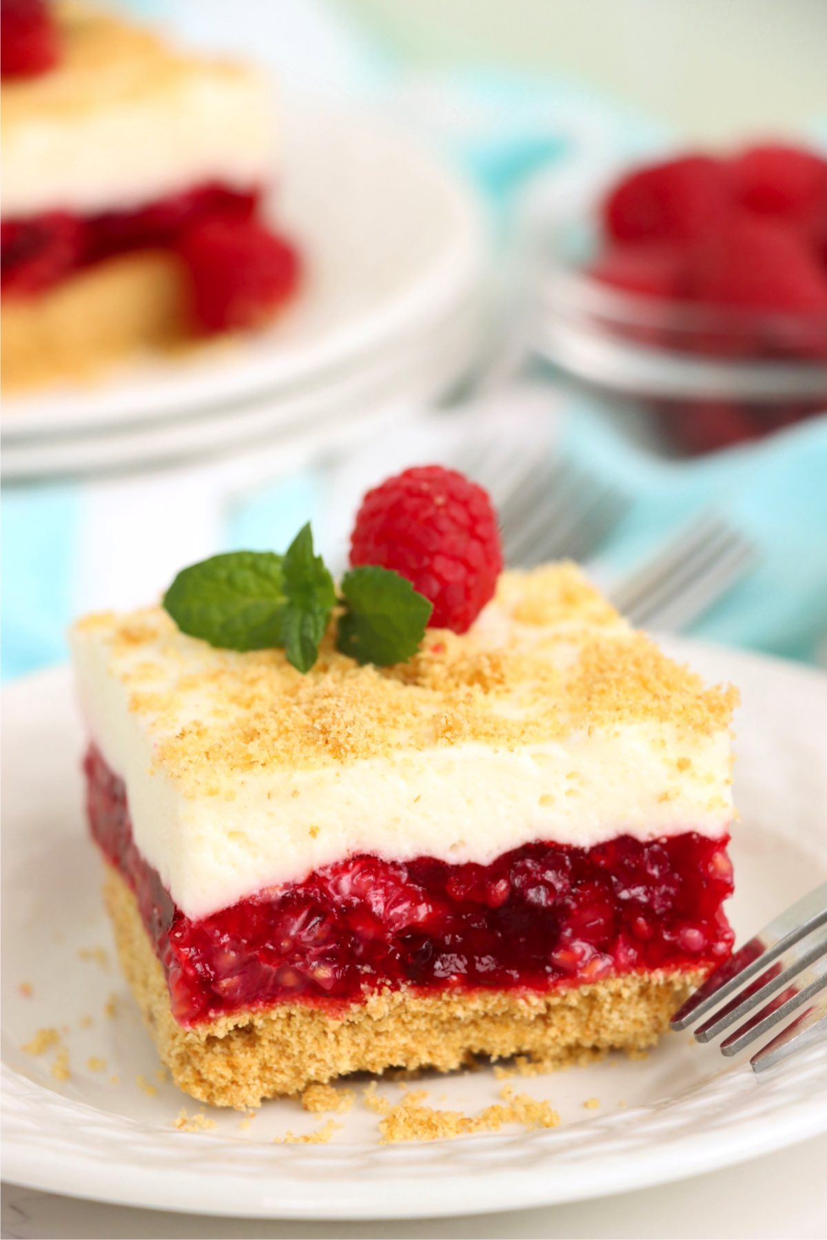 Piece of layered raspberry cake with a graham cracker crust.