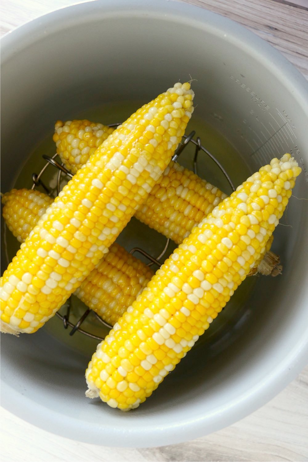 Cobs on corn in ninja foodie.