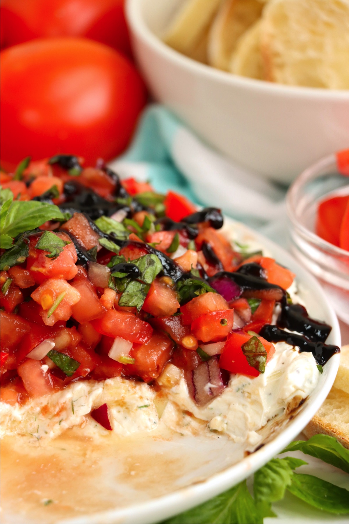 A serving of bruschetta dip with the creamy cheese layer exposed, topped with juicy diced tomatoes and herbs, served with bread and fresh basil leaves nearby.