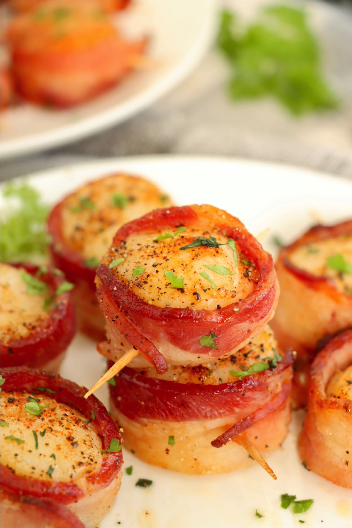 Golden-brown scallops wrapped in crispy bacon, garnished with fresh parsley, stacked on a white plate.