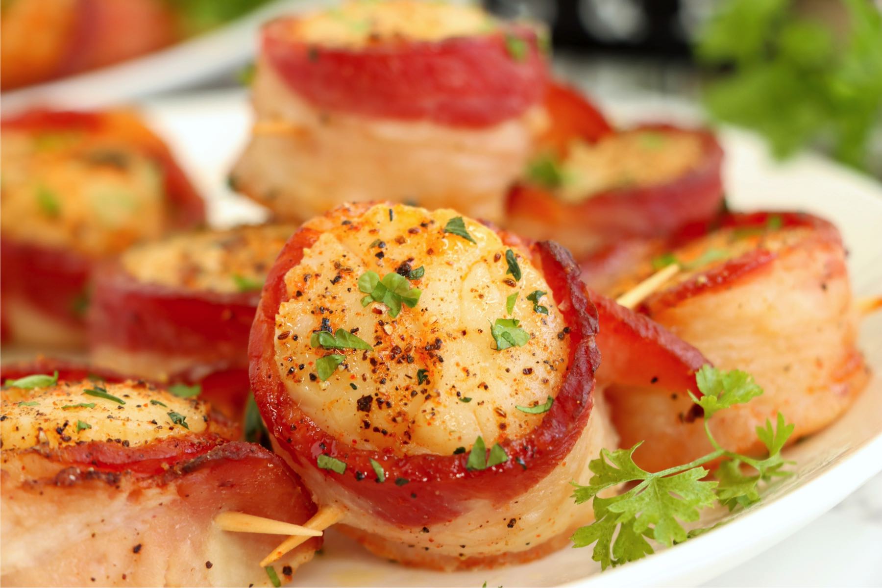 Perfectly cooked scallops wrapped in crispy bacon, served on a white plate with a garnish of parsley.