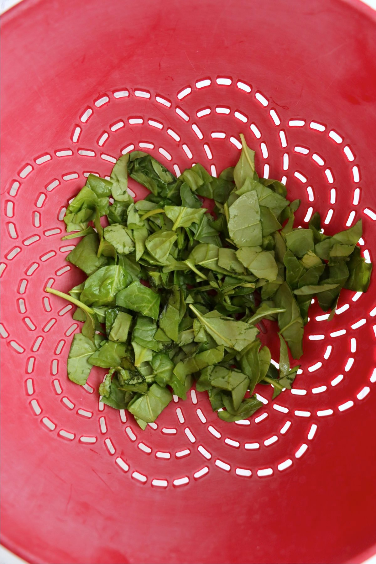 Chopped spinach leaves resting in a red colander, ready to be wilted for the pasta dish.