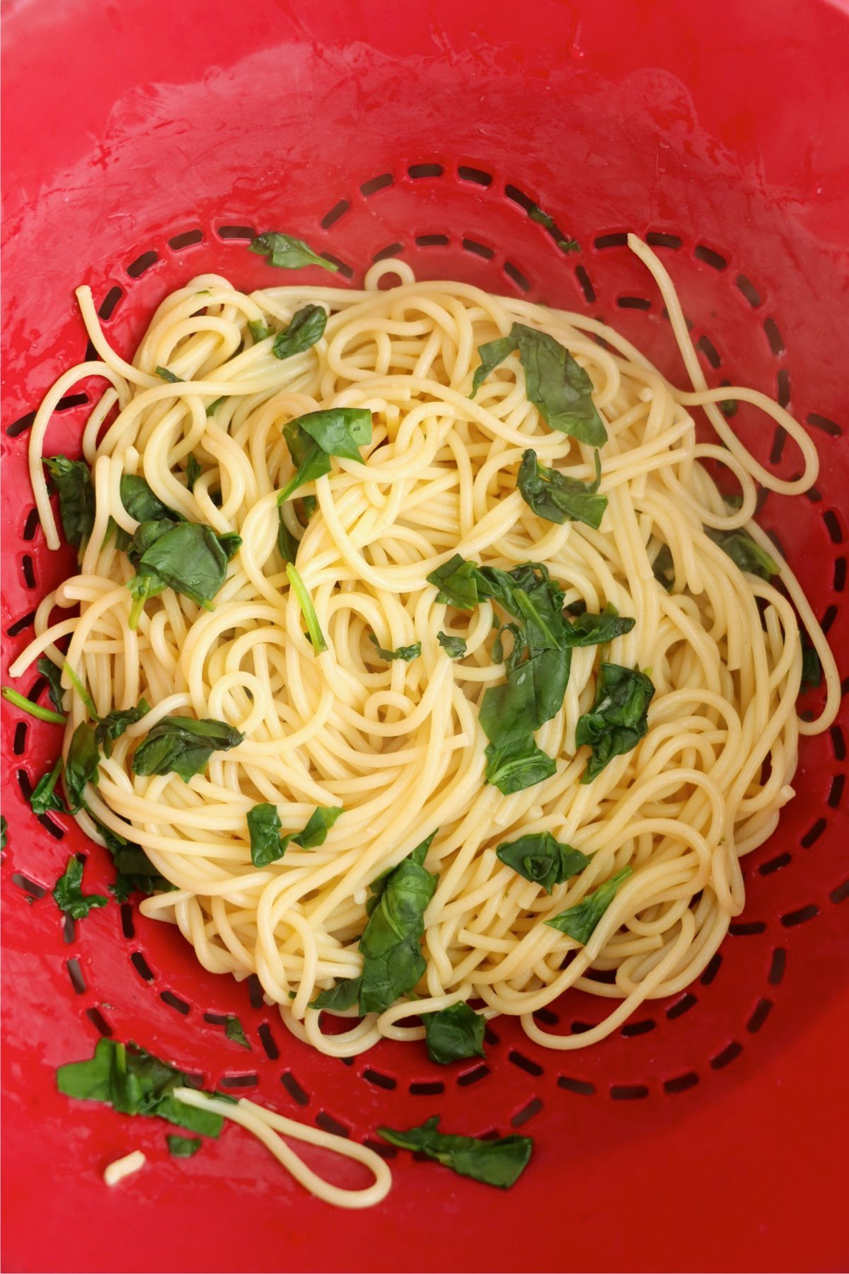 Cooked spaghetti with wilted spinach in a red colander, ready to be tossed with the creamy sauce.