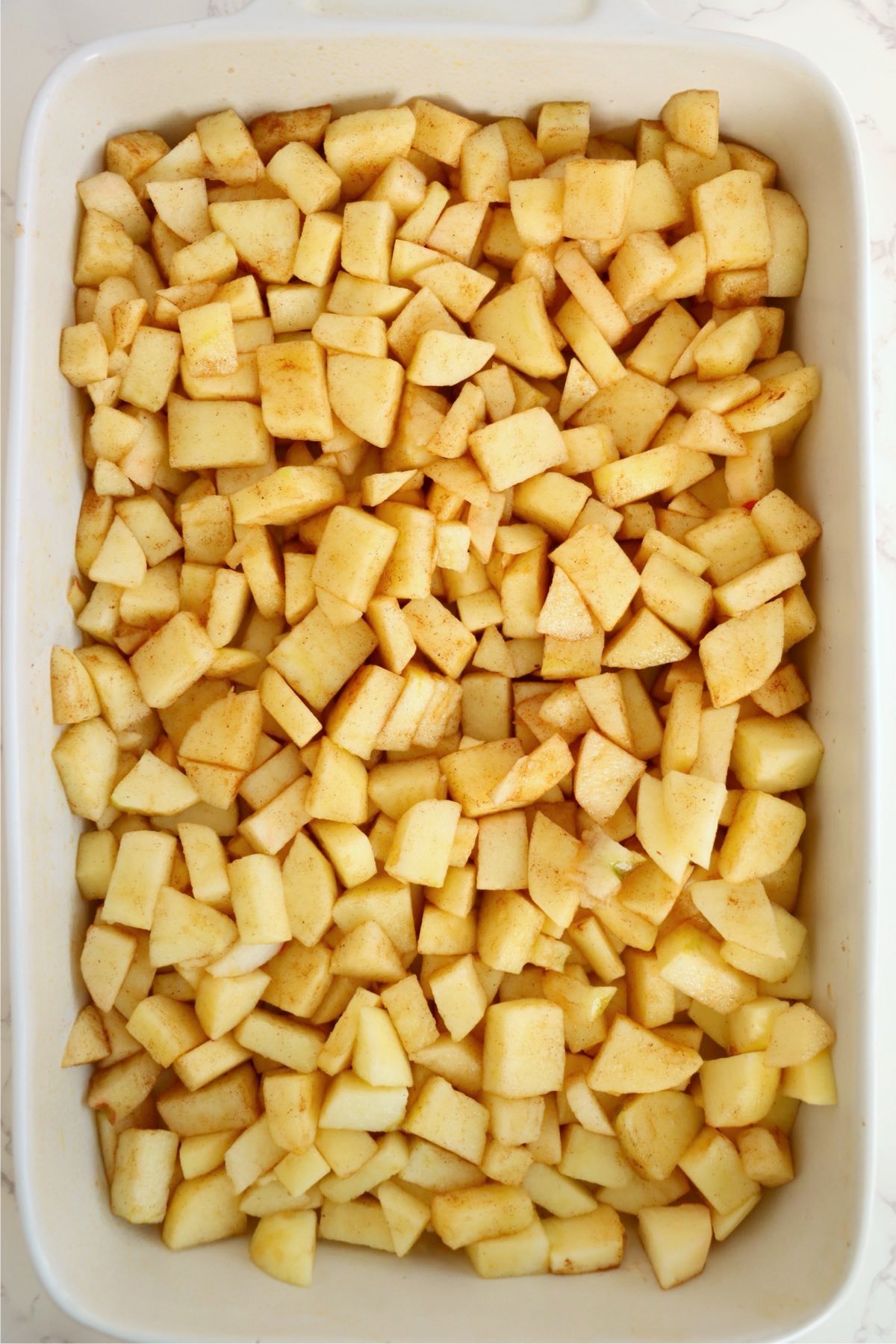 A baking dish layered with cinnamon-coated apple chunks.