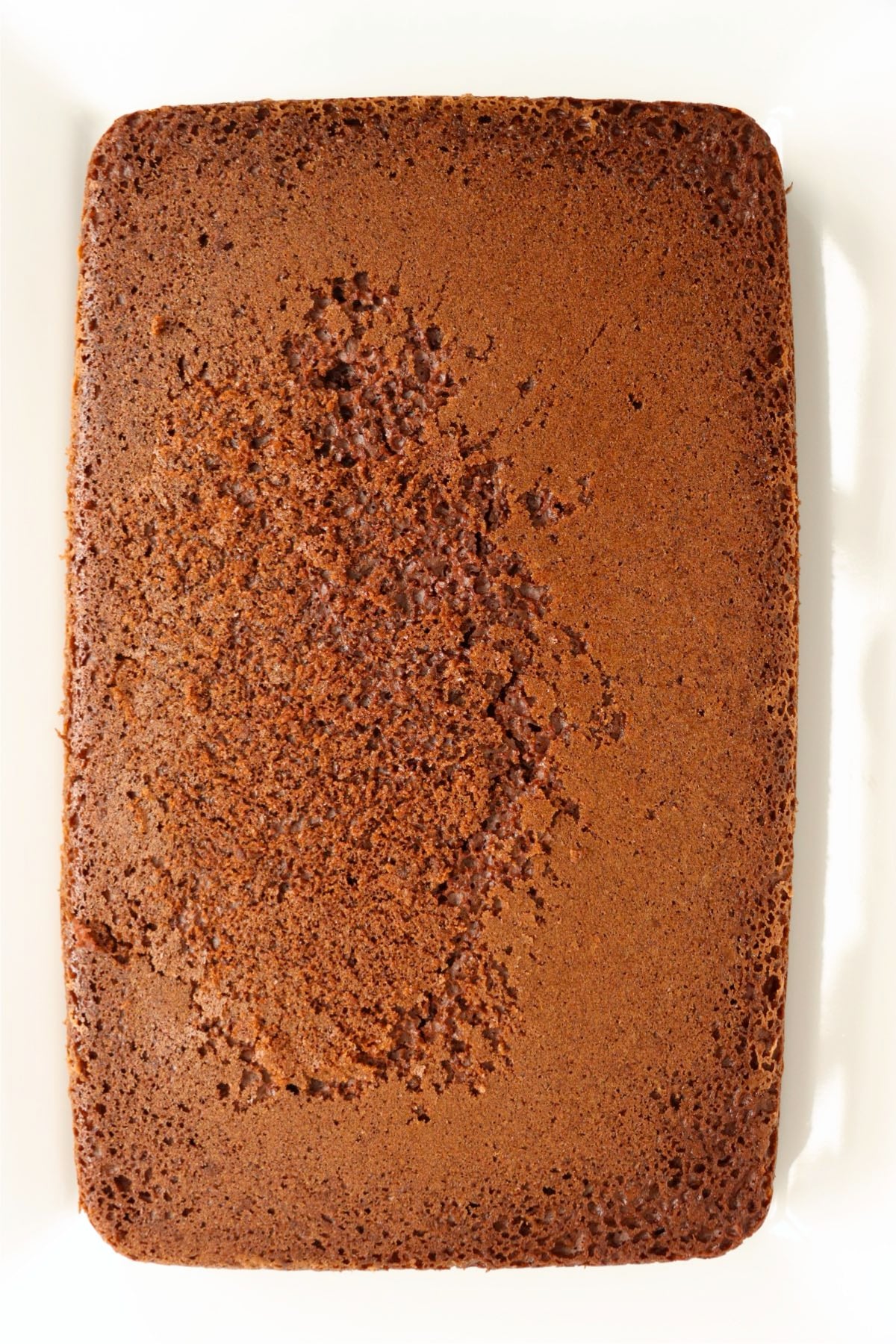 Fully baked chocolate sheet cake cooling in a baking dish.