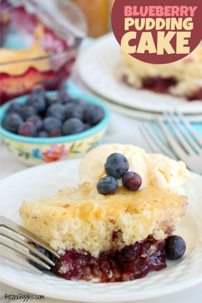 Blueberry pudding cake served with a scoop of vanilla ice cream and fresh blueberries.