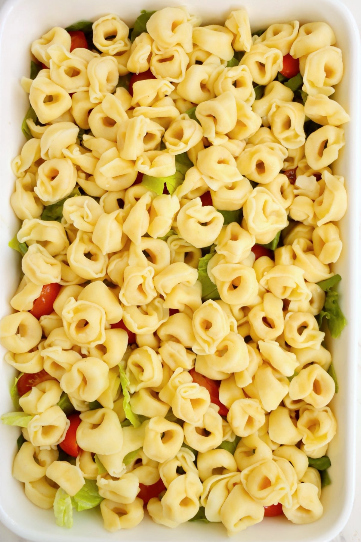 Cooked cheese tortellini layered over crisp lettuce and fresh tomatoes.