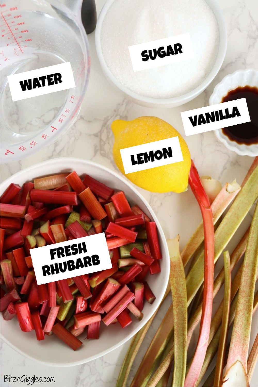 Ingredients for rhubarb cordial including fresh rhubarb, sugar, lemon, vanilla, and water on a marble surface.