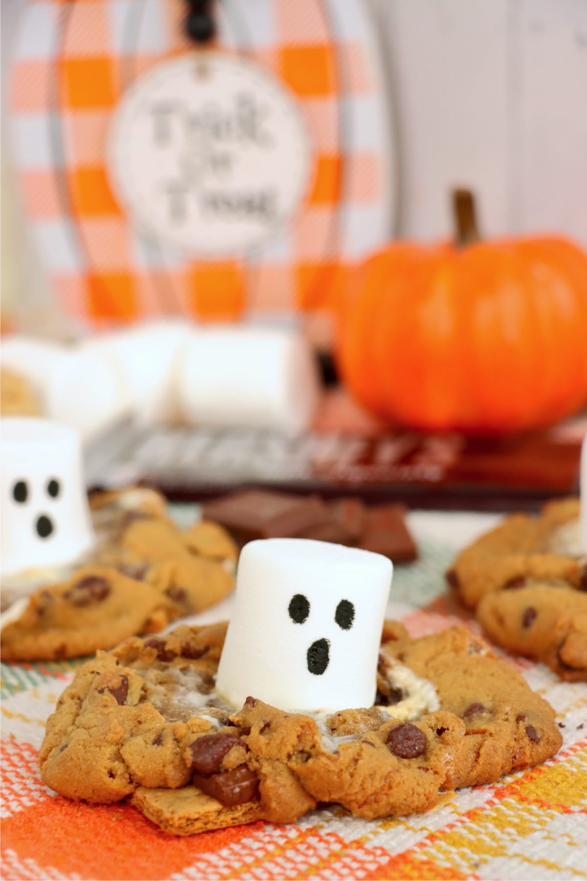 Marshmallow ghost surrounded by golden brown cookie edges, chocolate chips, and gooey melted marshmallow.
