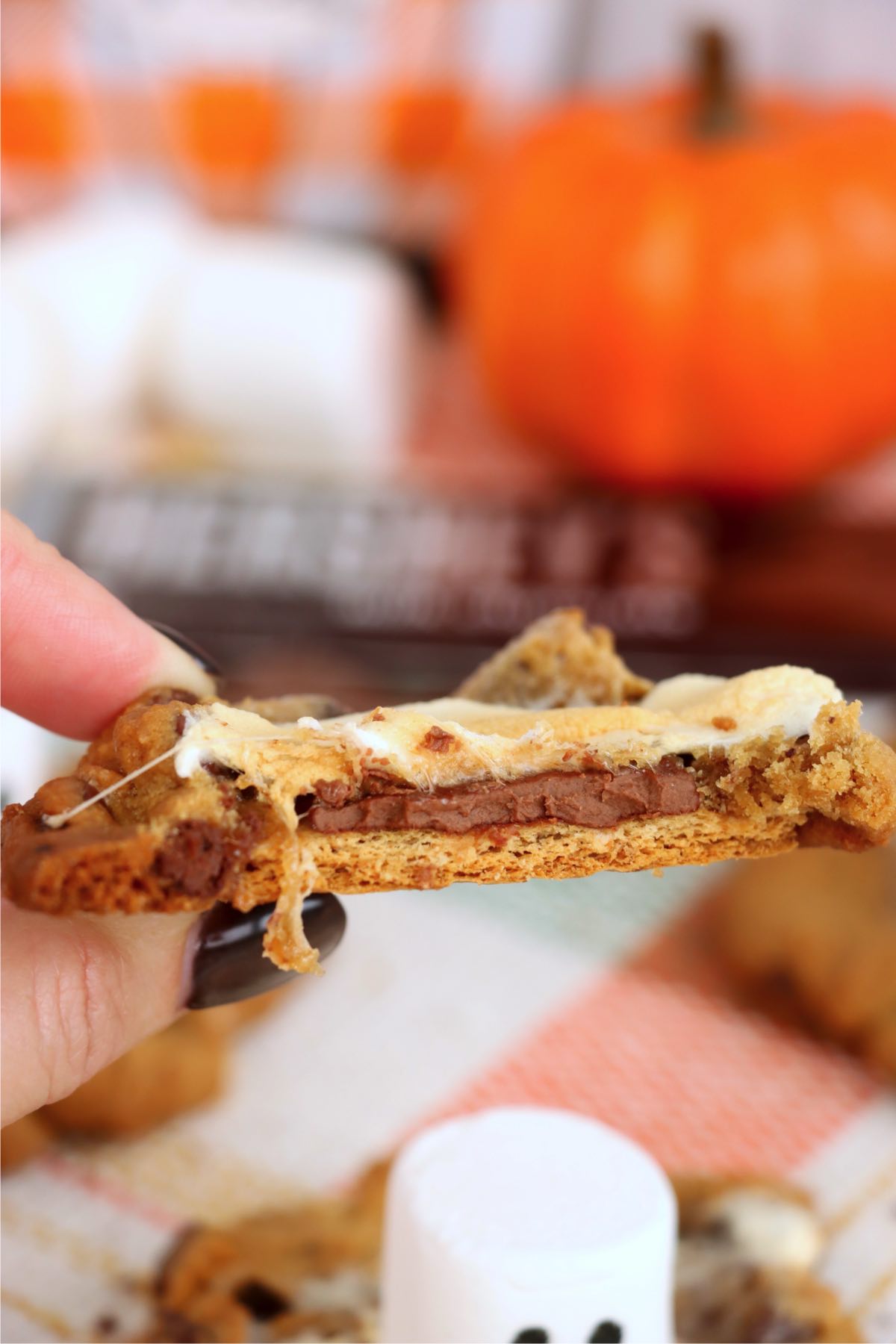 Hand holding a cookie piece showing layers of graham cracker, melted chocolate, marshmallow, and chocolate chip cookie.